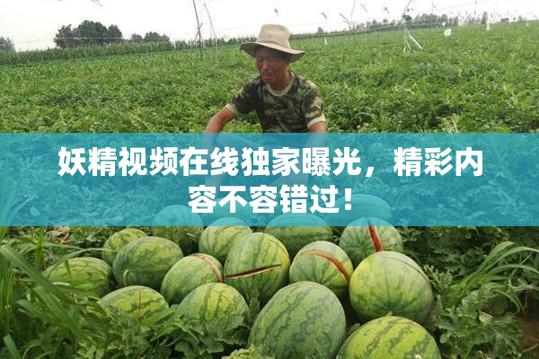 妖精视频在线独家曝光，精彩内容不容错过！