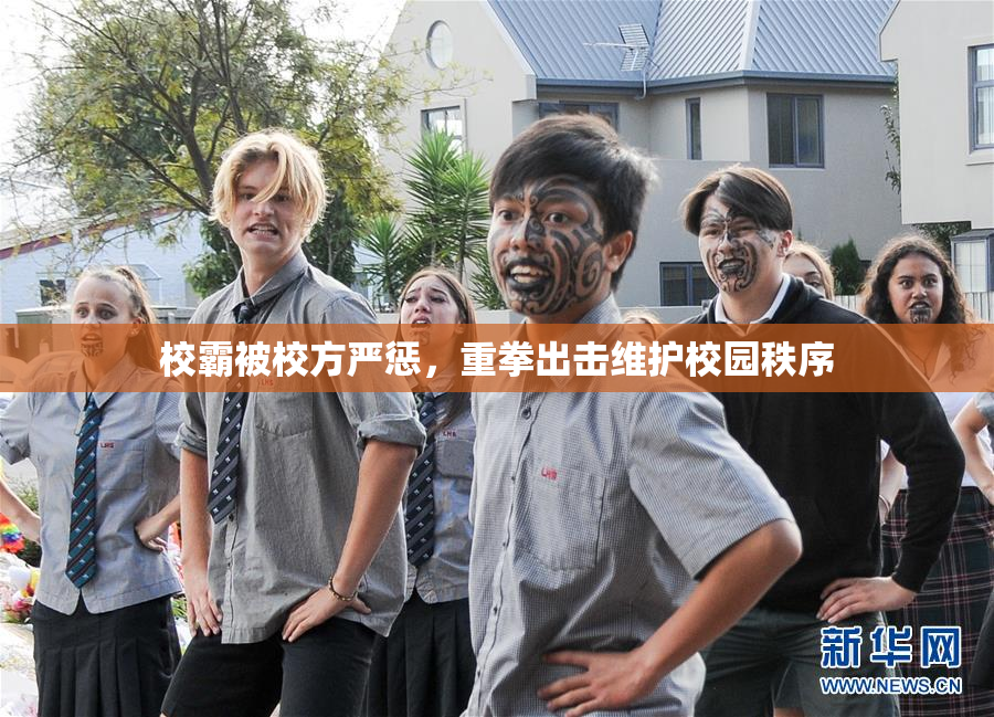 校霸被校方严惩，重拳出击维护校园秩序
