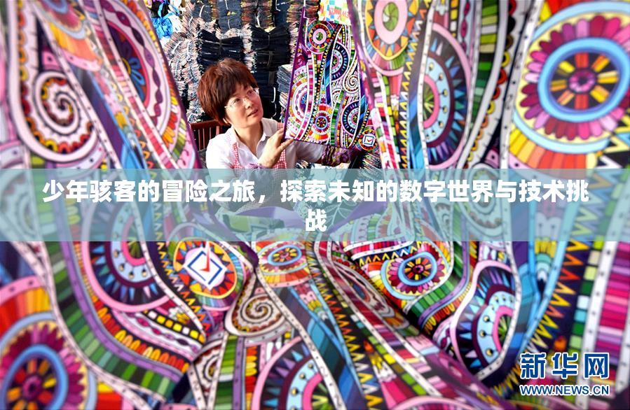 少年骇客的冒险之旅，探索未知的数字世界与技术挑战
