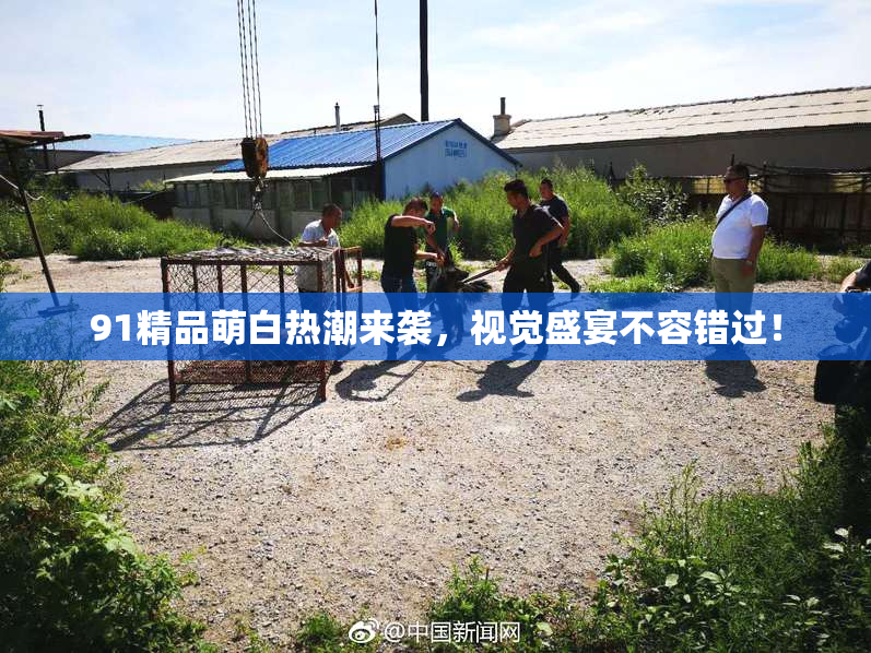 91精品萌白热潮来袭，视觉盛宴不容错过！