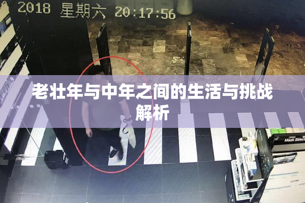 老壮年与中年之间的生活与挑战解析