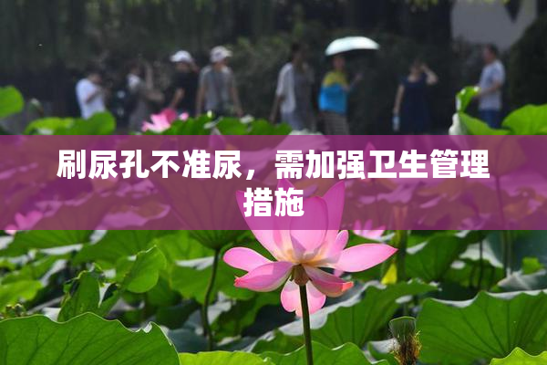 刷尿孔不准尿，需加强卫生管理措施