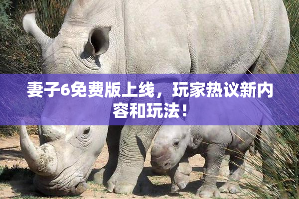 妻子6免费版上线，玩家热议新内容和玩法！