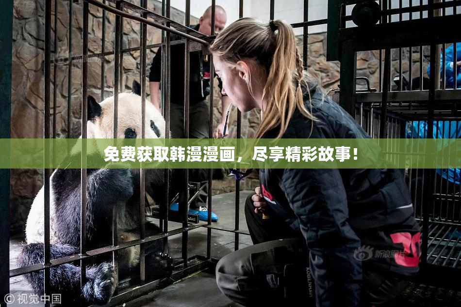 免费获取韩漫漫画，尽享精彩故事！