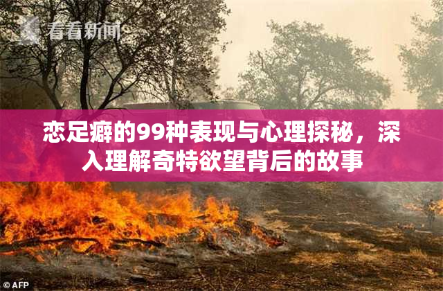恋足癖的99种表现与心理探秘，深入理解奇特欲望背后的故事
