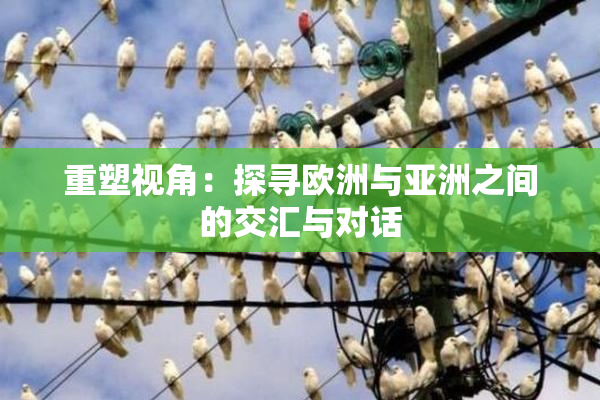 重塑视角：探寻欧洲与亚洲之间的交汇与对话