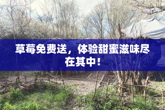 草莓免费送，体验甜蜜滋味尽在其中！
