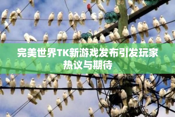完美世界TK新游戏发布引发玩家热议与期待