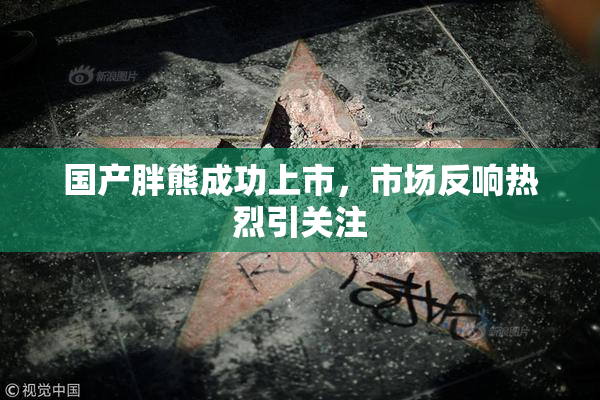 国产胖熊成功上市，市场反响热烈引关注