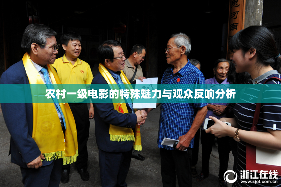 农村一级电影的特殊魅力与观众反响分析