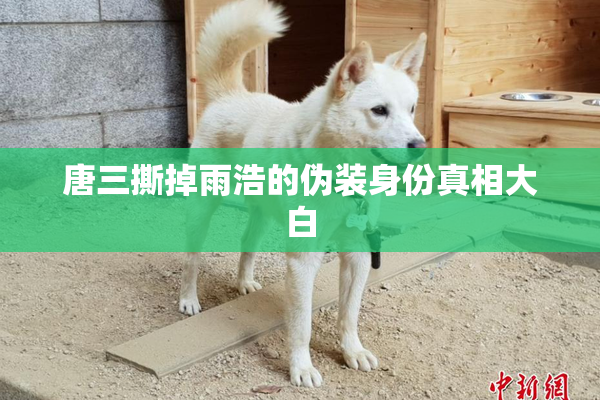 唐三撕掉雨浩的伪装身份真相大白