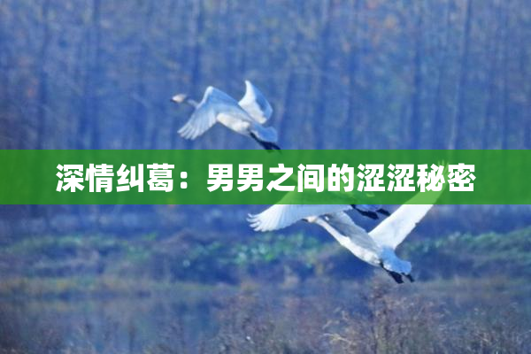 深情纠葛：男男之间的涩涩秘密