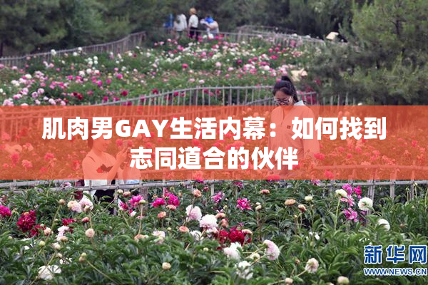 肌肉男GAY生活内幕：如何找到志同道合的伙伴