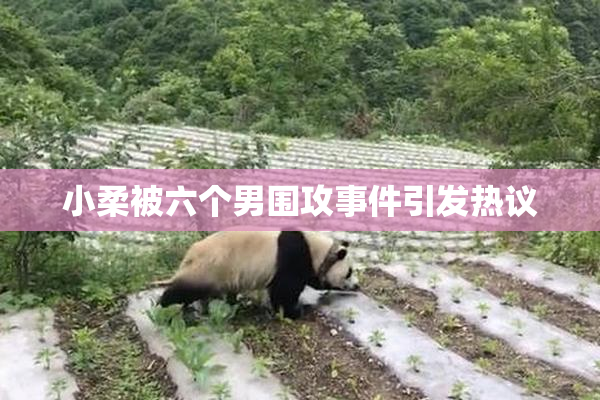 小柔被六个男围攻事件引发热议