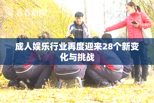 成人娱乐行业再度迎来28个新变化与挑战