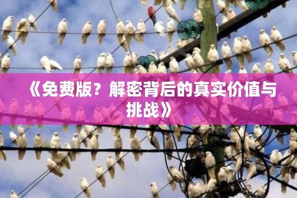 《免费版？解密背后的真实价值与挑战》