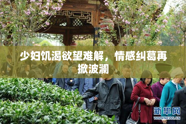 少妇饥渴欲望难解，情感纠葛再掀波澜