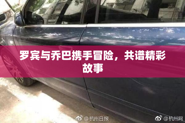 罗宾与乔巴携手冒险，共谱精彩故事