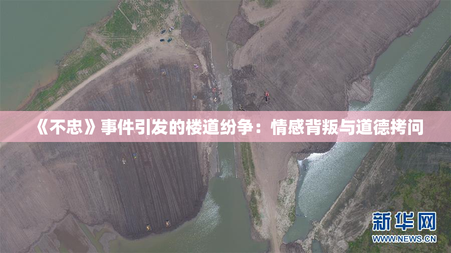 《不忠》事件引发的楼道纷争：情感背叛与道德拷问