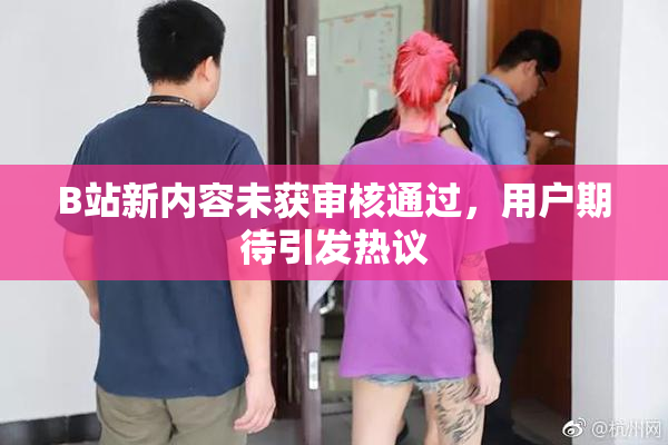 B站新内容未获审核通过，用户期待引发热议