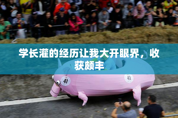 学长灌的经历让我大开眼界，收获颇丰