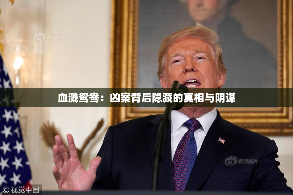 血溅鸳鸯：凶案背后隐藏的真相与阴谋