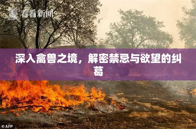 深入禽兽之境，解密禁忌与欲望的纠葛