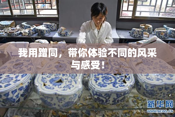 我用蹭同，带你体验不同的风采与感受！