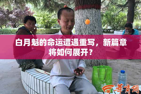 白月魁的命运遭遇重写，新篇章将如何展开？