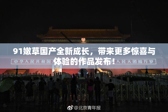 91嫩草国产全新成长，带来更多惊喜与体验的作品发布！