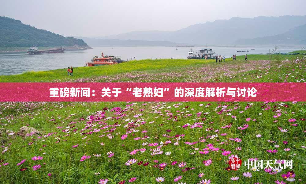 重磅新闻：关于“老熟妇”的深度解析与讨论