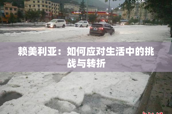 赖美利亚：如何应对生活中的挑战与转折