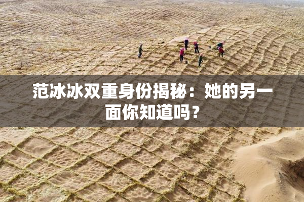 范冰冰双重身份揭秘：她的另一面你知道吗？