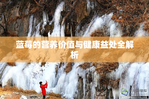 蓝莓的营养价值与健康益处全解析