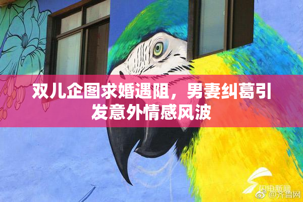 双儿企图求婚遇阻，男妻纠葛引发意外情感风波