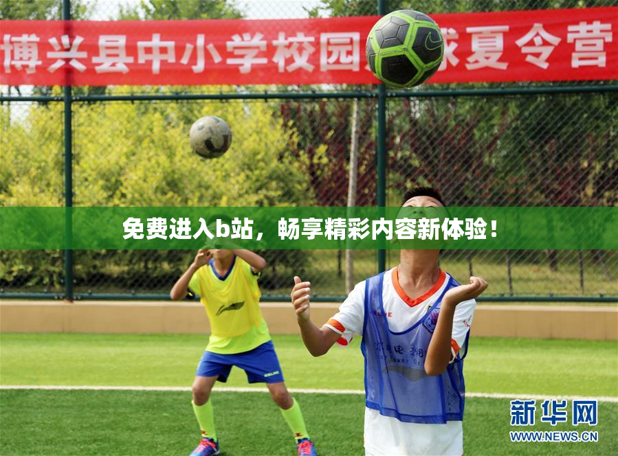 免费进入b站，畅享精彩内容新体验！