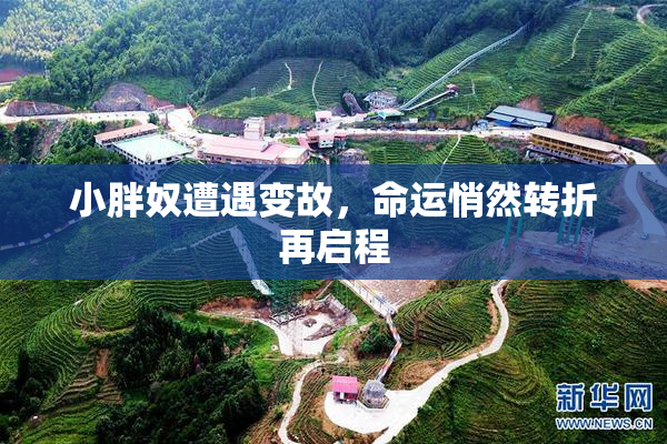 小胖奴遭遇变故，命运悄然转折再启程