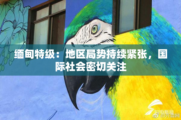 缅甸特级：地区局势持续紧张，国际社会密切关注