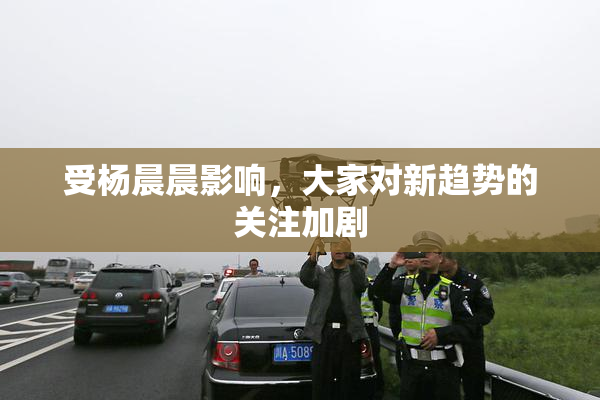 受杨晨晨影响，大家对新趋势的关注加剧