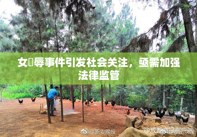 女婬辱事件引发社会关注，亟需加强法律监管