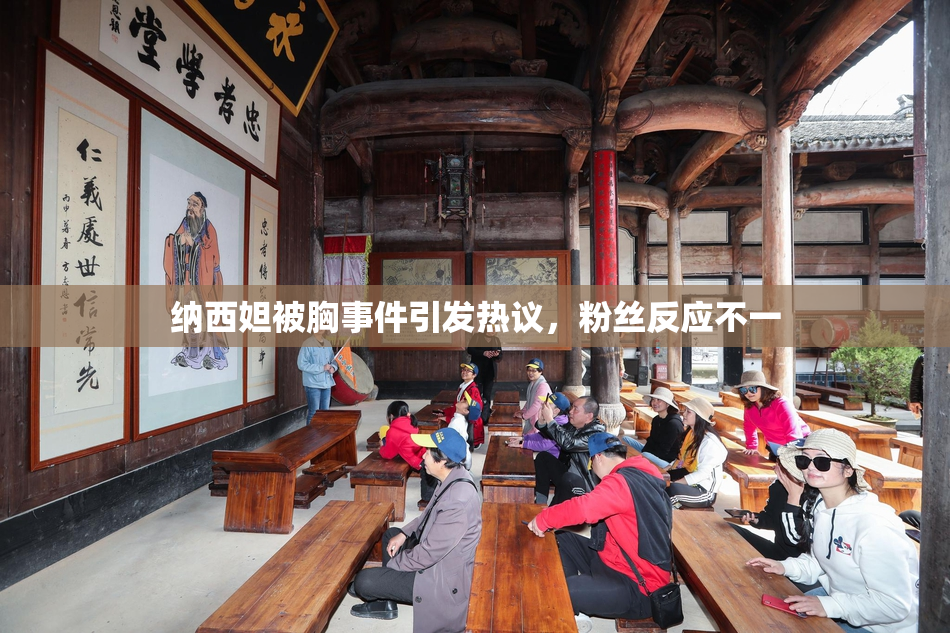 纳西妲被胸事件引发热议，粉丝反应不一