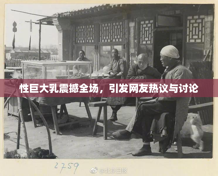 性巨大乳震撼全场，引发网友热议与讨论