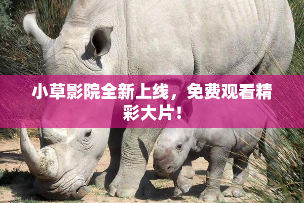 小草影院全新上线，免费观看精彩大片！