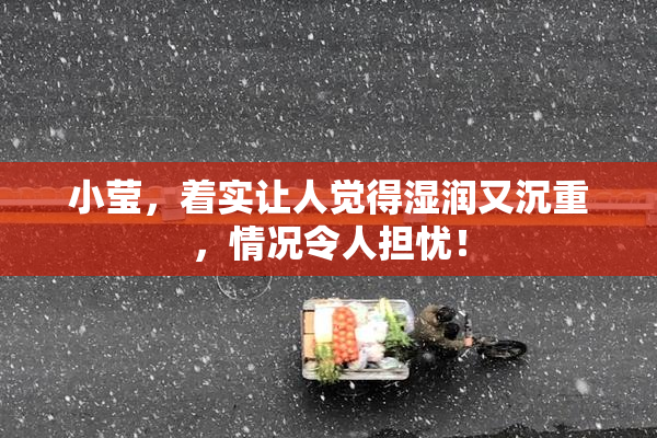 小莹，着实让人觉得湿润又沉重，情况令人担忧！
