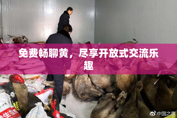 免费畅聊黄，尽享开放式交流乐趣