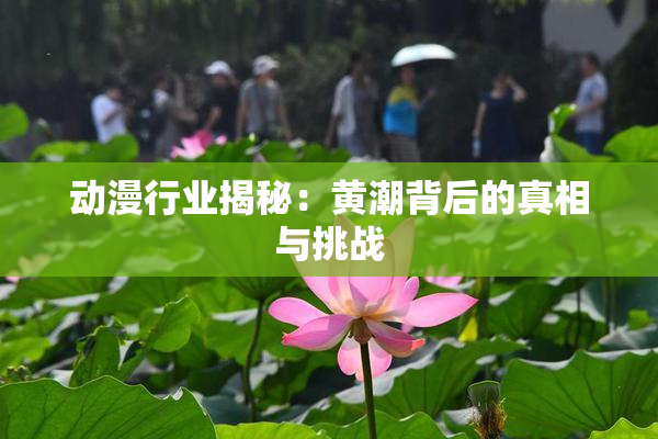 动漫行业揭秘：黄潮背后的真相与挑战