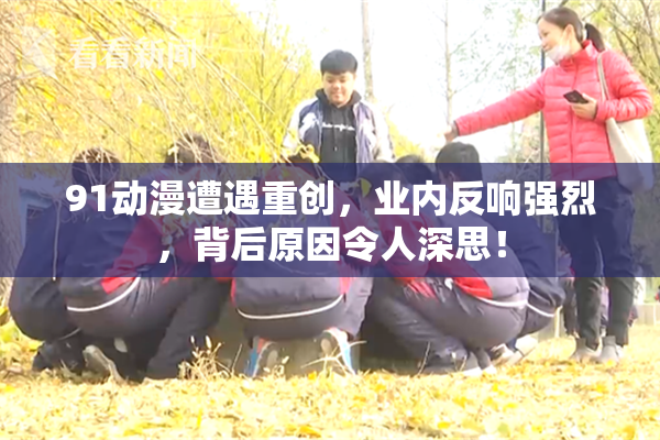 91动漫遭遇重创，业内反响强烈，背后原因令人深思！