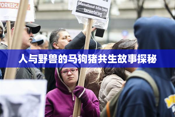 人与野兽的马狗猪共生故事探秘
