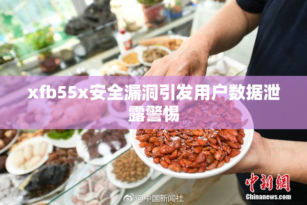 xfb55x安全漏洞引发用户数据泄露警惕