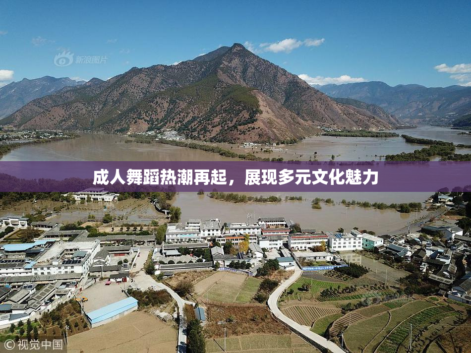 成人舞蹈热潮再起，展现多元文化魅力